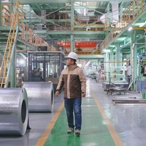 نظرة عامة شاملة على تقنية خط إنتاج ZAM 1